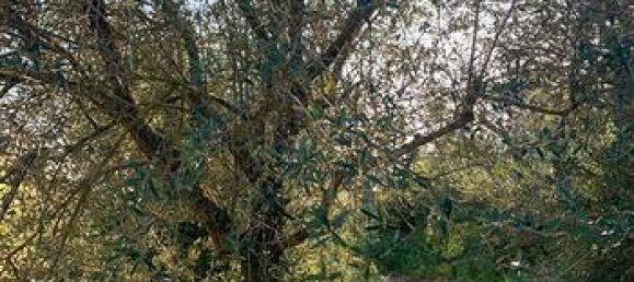 Terreno em Ittiri, Italy 5000 m² N.º 297551 6