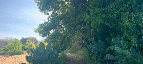 Terreno em Ittiri, Italy 5000 m² N.º 297551 4