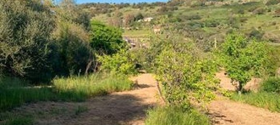 Terreno em Ittiri, Italy 5000 m² N.º 297551 5