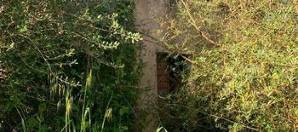 Terreno em Ittiri, Italy 5000 m² N.º 297551 2