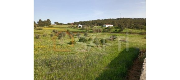 6 bedrooms House in Alcanede, Portugal No. 146401 27