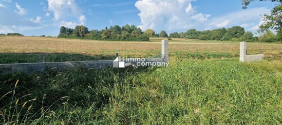 Grundstück in Mannersdorf an der Rabnitz, Austria, Nr. 10128 2