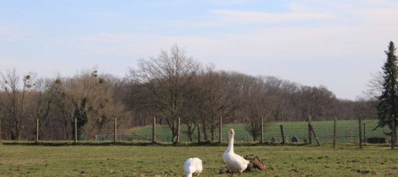 Ферма с 11 комнатами в Дюрен, Германия № 135713 9