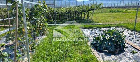 3 bedrooms Apartment in Nomi, Italy No. 315638 20