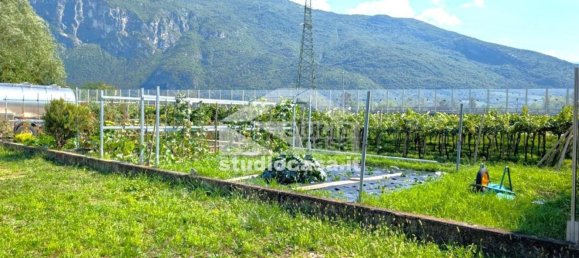 3 bedrooms Apartment in Nomi, Italy No. 315638 7