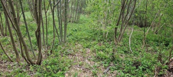 Terrain à Spital am Semmering, Austria 2815m² No. 29251 8