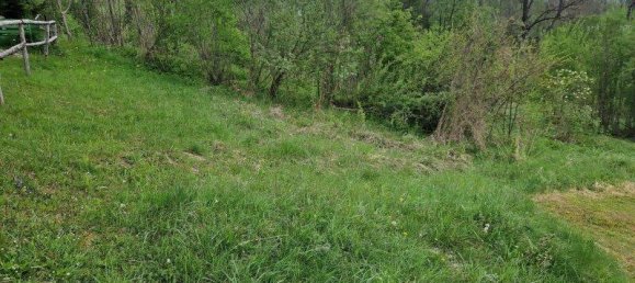 Terrain à Spital am Semmering, Austria 2815m² No. 29251 5