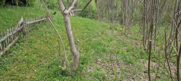 Terrain à Spital am Semmering, Austria 2815m² No. 29251 7