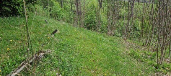 Terrain à Spital am Semmering, Austria 2815m² No. 29251 9