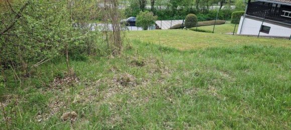 Terrain à Spital am Semmering, Austria 2815m² No. 29251 10