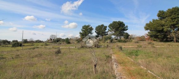 Estudio en Ostuni, Italy No. 154360 9