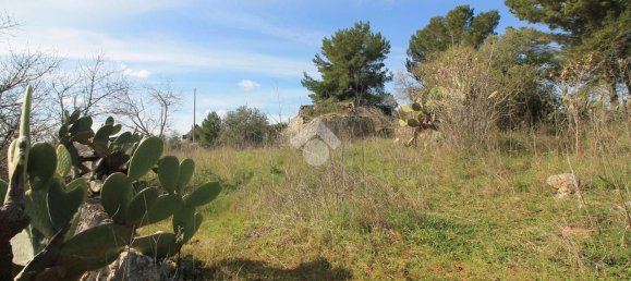 Estudio en Ostuni, Italy No. 154360 6