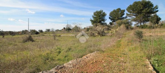 Estudio en Ostuni, Italy No. 154360 3