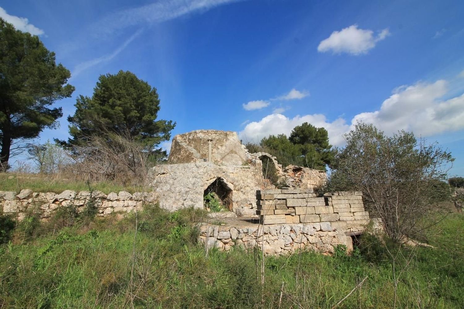 Estudio en Ostuni, Italy No. 154360