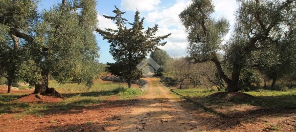 Estudio en Ostuni, Italy No. 154360 12