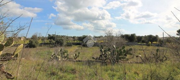 Estudio en Ostuni, Italy No. 154360 5