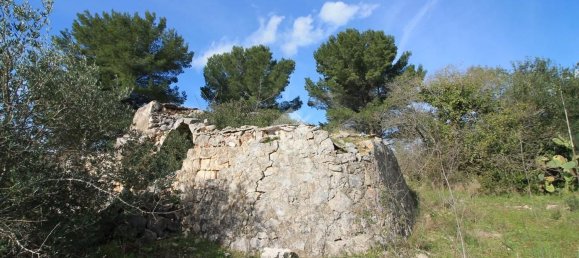 Estudio en Ostuni, Italy No. 154360 10