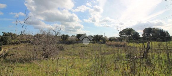 Estudio en Ostuni, Italy No. 154360 7