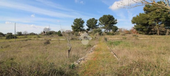 Estudio en Ostuni, Italy No. 154360 4