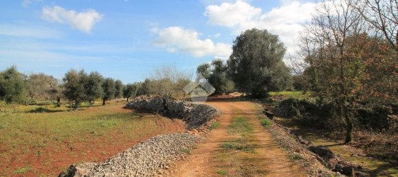 Estudio en Ostuni, Italy No. 154360 11