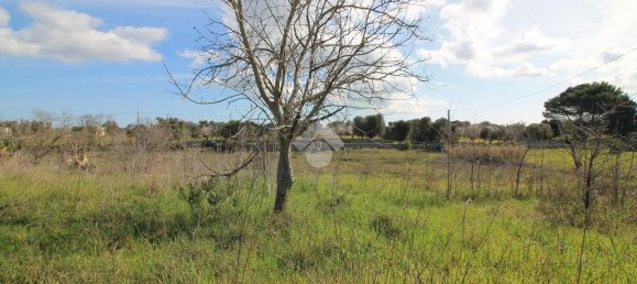 Estudio en Ostuni, Italy No. 154360 8