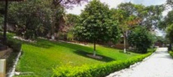 3 Schlafzimmer Haus in Orotina, Costa Rica, Nr. 938 5