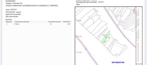 Terreno en La Gomera, Spain No. 162711 15