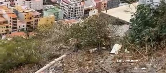 Terreno en La Gomera, Spain No. 162711 19