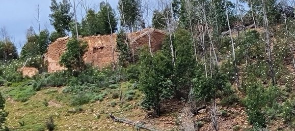 Land in Silves, Portugal No. 40988 3