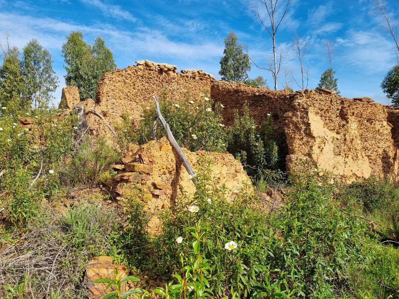  Land in Silves, Portugal No. 40988