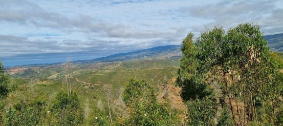 Land in Silves, Portugal No. 40988 8