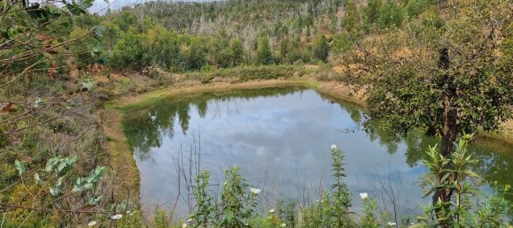 Land in Silves, Portugal No. 40988 5