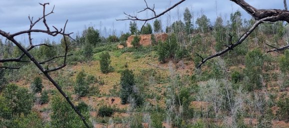 Land in Silves, Portugal No. 40988 9