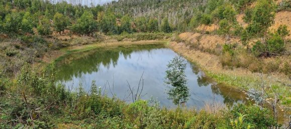 Land in Silves, Portugal No. 40988 6