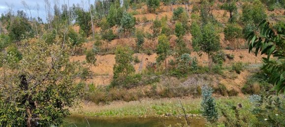 Land in Silves, Portugal No. 40988 7