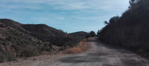 Land in Silves, Portugal No. 40988 10