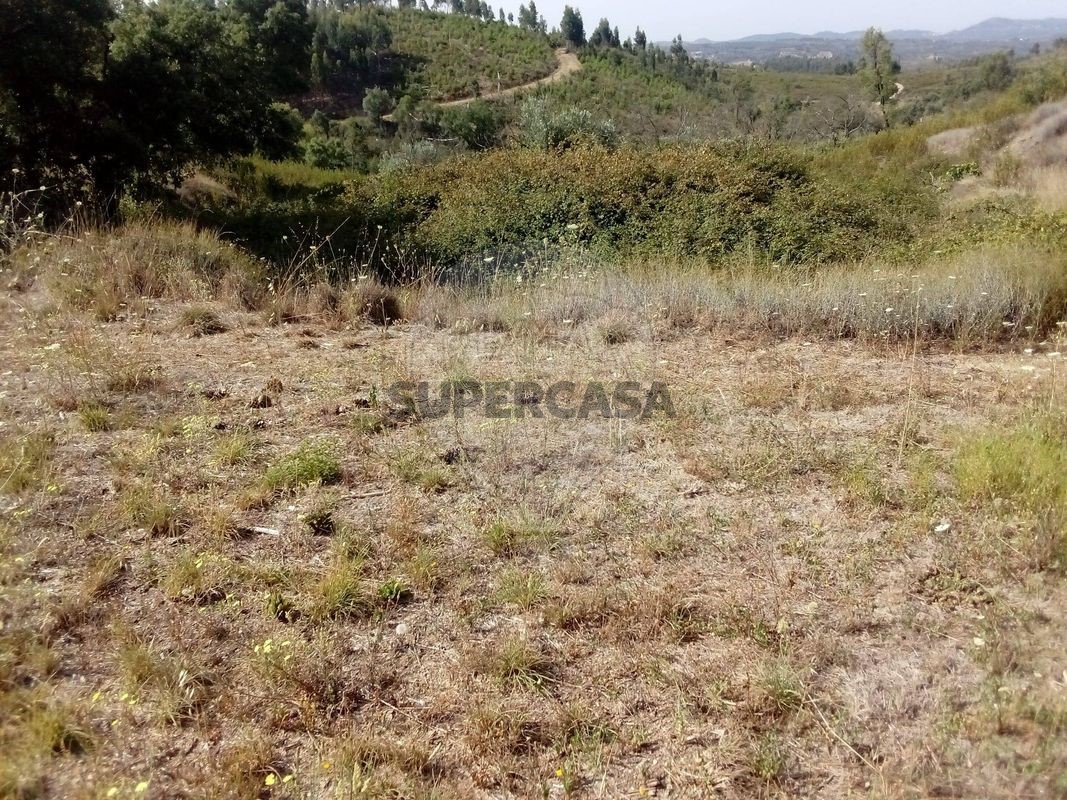 Земельный участок в Кардигуш, Португалия № 295145