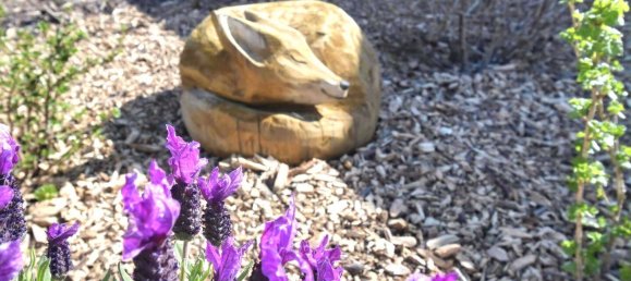 1 Schlafzimmer Bungalow in Vorpommern-Rügen, Germany, Nr. 330349 8