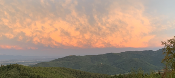 Gebäude in Niedermorschwihr, France 1200m², Nr. 272197 12