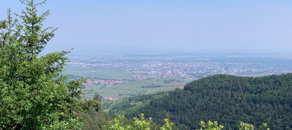Gebäude in Niedermorschwihr, France 1200m², Nr. 272197 11
