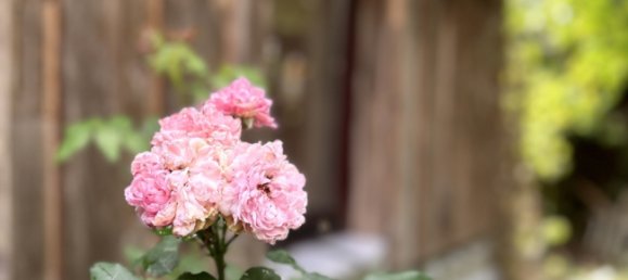 1 chambre Maison à Biberach, Germany No. 361559 26