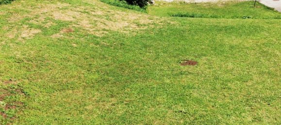 Terrain à Altmunster, Austria No. 126386 2