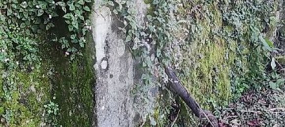 2 Schlafzimmer Haus in Carvalheira, Portugal, Nr. 176159 15