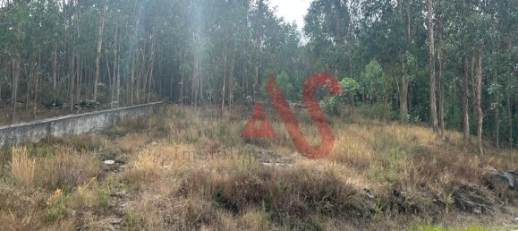  قطعة أرض في Guimaraes, Portugal 15329متر مربع رقم 42202 11