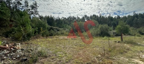  قطعة أرض في Guimaraes, Portugal 15329متر مربع رقم 42202 5