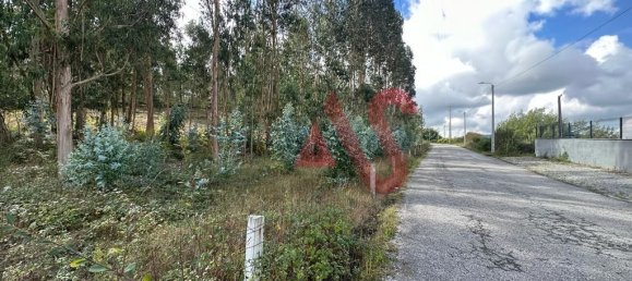  قطعة أرض في Guimaraes, Portugal 15329متر مربع رقم 42202 7