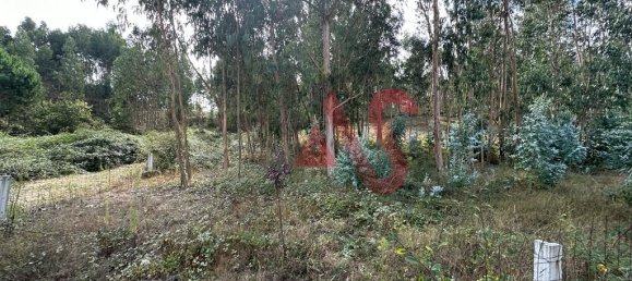  قطعة أرض في Guimaraes, Portugal 15329متر مربع رقم 42202 9