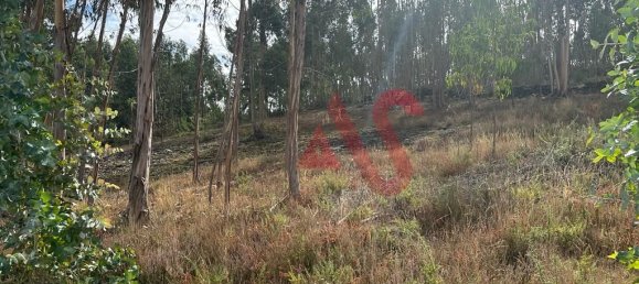  قطعة أرض في Guimaraes, Portugal 15329متر مربع رقم 42202 10