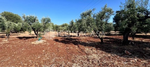 Estúdio em Ostuni, Italy N.º 305367 10
