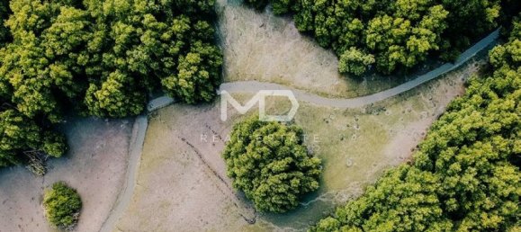 2 bedrooms Apartment in Abu Dhabi, UAE No. 47634 18